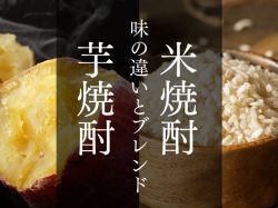 米焼酎と芋焼酎の違いって!?知っておきたいブレンドの意味【初心者用】