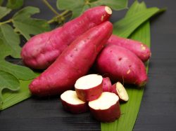芋焼酎の品種「さつまいも」を知ろう♪「芋」で変わるおいしい発見!