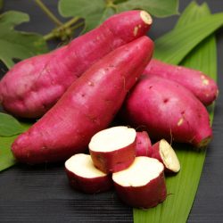 芋焼酎の品種「さつまいも」を知ろう♪「芋」で変わるおいしい発見! 芋焼酎の品種「さつまいも」を知ろう♪「芋」で変わるおいしい発見!