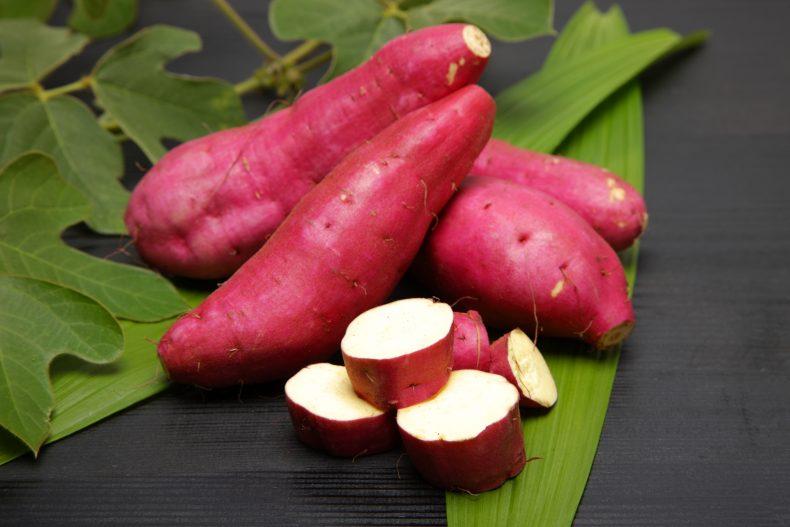 芋焼酎の品種「さつまいも」を知ろう♪「芋」で変わるおいしい発見! 芋焼酎の品種「さつまいも」を知ろう♪「芋」で変わるおいしい発見!