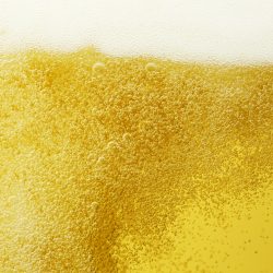 【ビール】初心者向け!ラガーとエールの味の違いと種類
