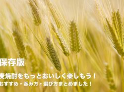 【保存版】麦焼酎をもっとおいしく楽しもう!おすすめ・呑み方・選び方まとめました!