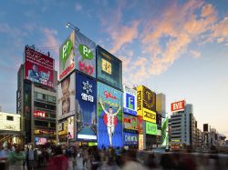 知らなきゃ損!大阪府のクラフトビールは浪速の個性はぞろい?