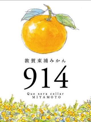 敦賀東浦みかん914ビール
