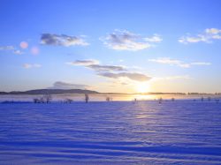 北の大地が育てた雄大な味わい!北海道のクラフトビール4選