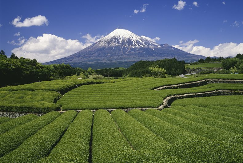 呑み比べが楽しい!静岡県のクラフトビール 呑み比べが楽しい!静岡県のクラフトビール