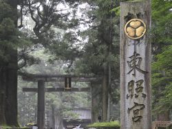 農業都市【栃木県】の絶対に飲みたい!クラフトビール3選