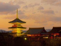 空前のクラフトビールブーム!?古都【京都】の革新的なビールを楽しもう♪