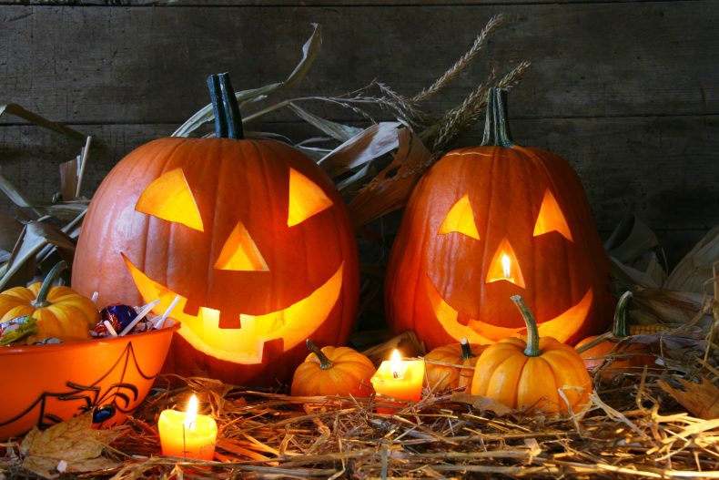 ハロウィンはぴったりなお酒でたのしもう♪限定やめずらしいかぼちゃに挑戦! ハロウィンはぴったりなお酒でたのしもう♪限定やめずらしいかぼちゃに挑戦!