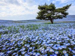 クラフトビールの穴場!?茨城県のクラフトビールをご紹介します!