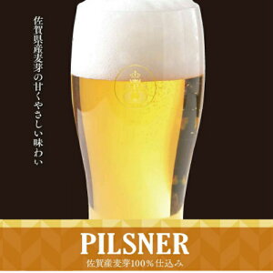 ビール 佐賀 3種類 から 選べる クラフトビール 12本 飲み比べ セット 蔵元直送 330ml