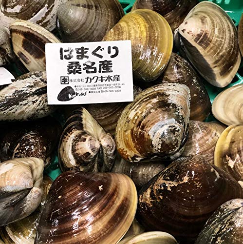 天然 桑名ハマグリ 最高級 蛤 豊洲直送 500g(1個約100g)【桑名はまぐり500g】冷蔵