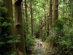 和歌山に旅行に行ったら買って帰りたい!!お酒のお土産15選