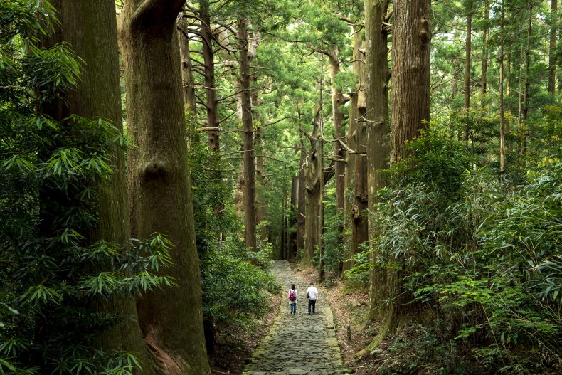 和歌山に旅行に行ったら買って帰りたい!!お酒のお土産15選 和歌山に旅行に行ったら買って帰りたい!!お酒のお土産15選