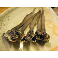 幻魚げんぎょの干物(20匹)