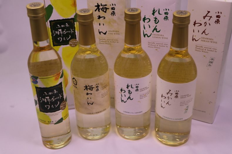 【ふるさと納税】城下町小田原の飲み比べわいんDセット(4本セット)