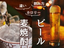麦焼酎とビールの違いとは?カロリーと飲み方も比べてみた!