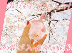 家でもお花見気分!桜の花が入った春に飲みたい季節のお酒6選!